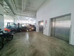 Wave9 (D27), Factory #557804381